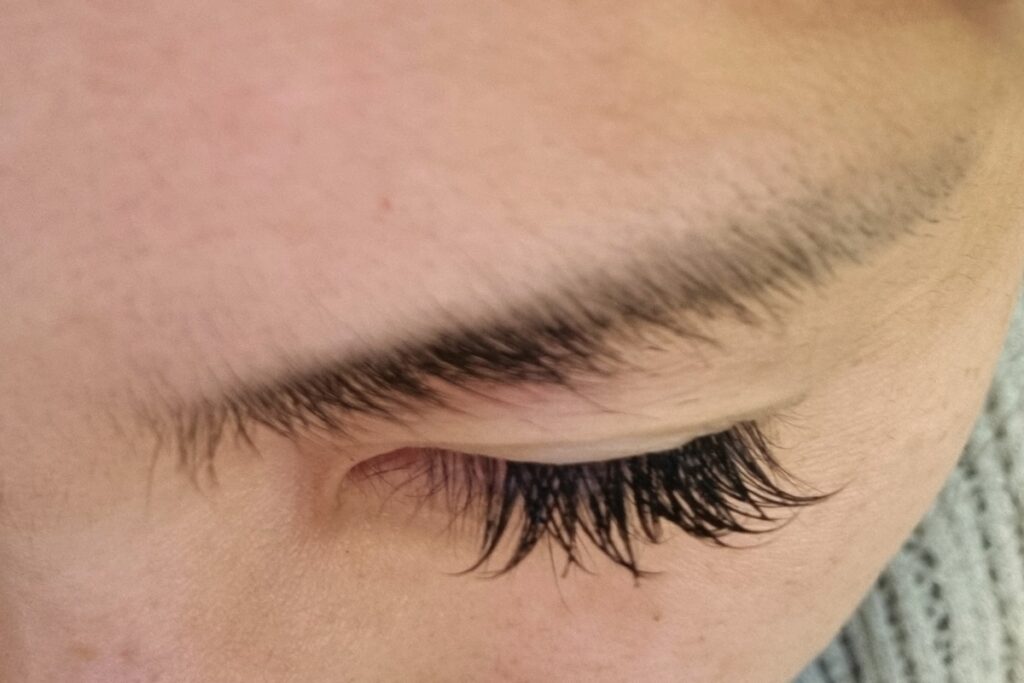 ease lash applying three cluster photo close up