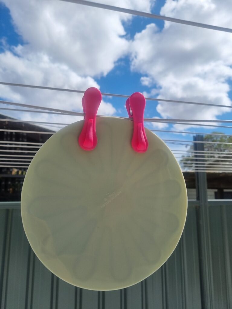 Lid drying in the sun