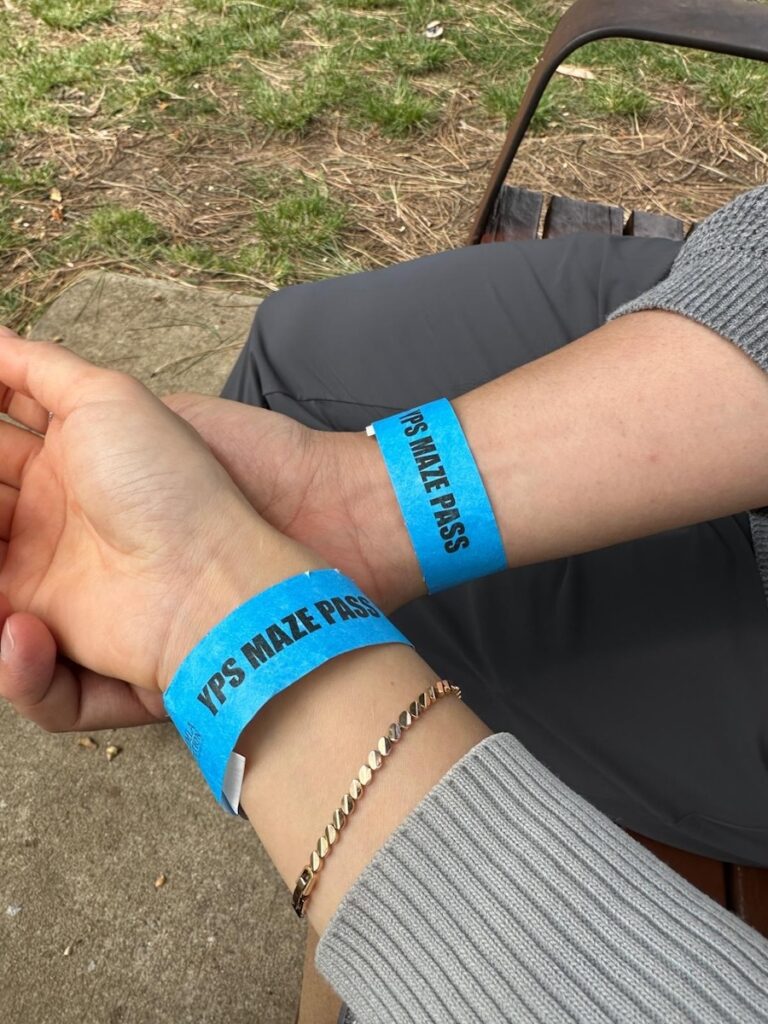 Blue wristband for Canberra maze entry picked up at the cafe for unlimited re-entry