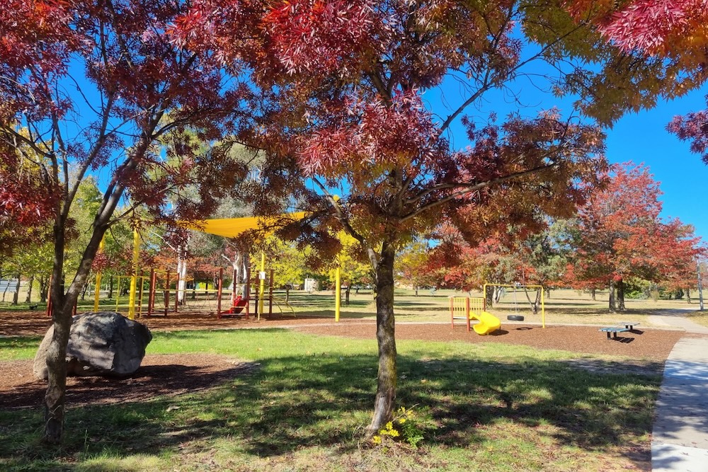 Farrer playground
